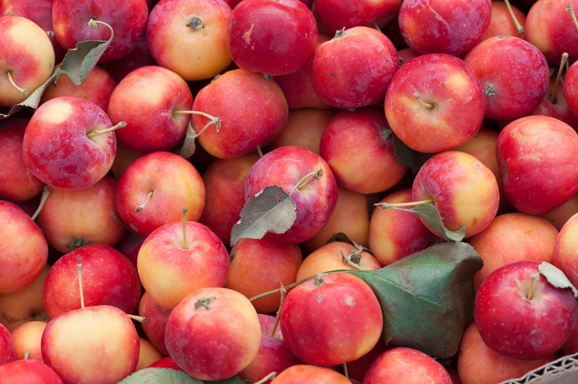 איך תפוחים משפיעים על רמות הסוכר בדם